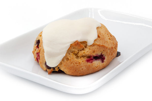 Cranberry Orange Scone - Bunner's Bakeshop