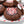 Santa Baby Peppermint Patty Cookie - Bunner's Bakeshop