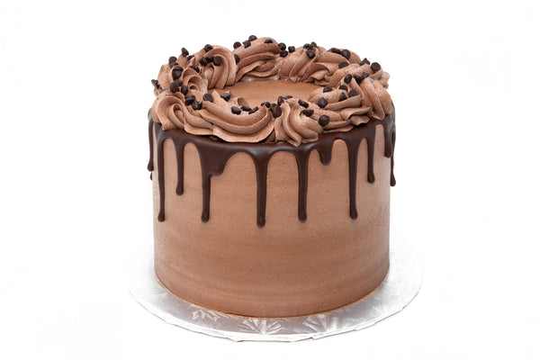 Best Chocolate Cake Ever - Bunner's Bakeshop