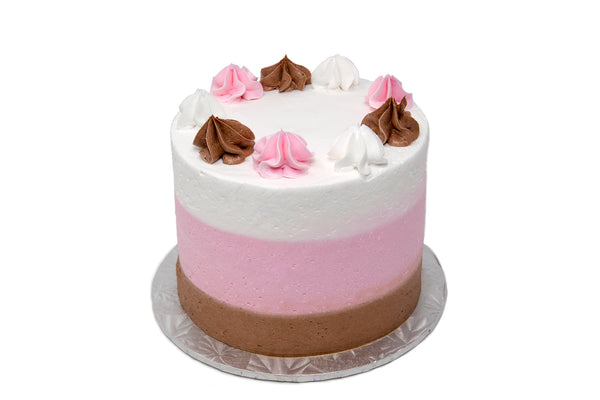 Neapolitan Cake - Bunner's Bakeshop