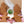 Gingerbread Cookie Decorating Kit - Bunner's Bakeshop